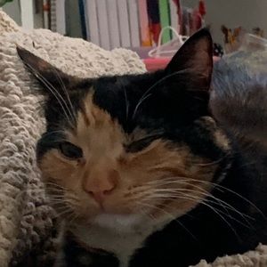 Meet your Posher, Kaitlyn